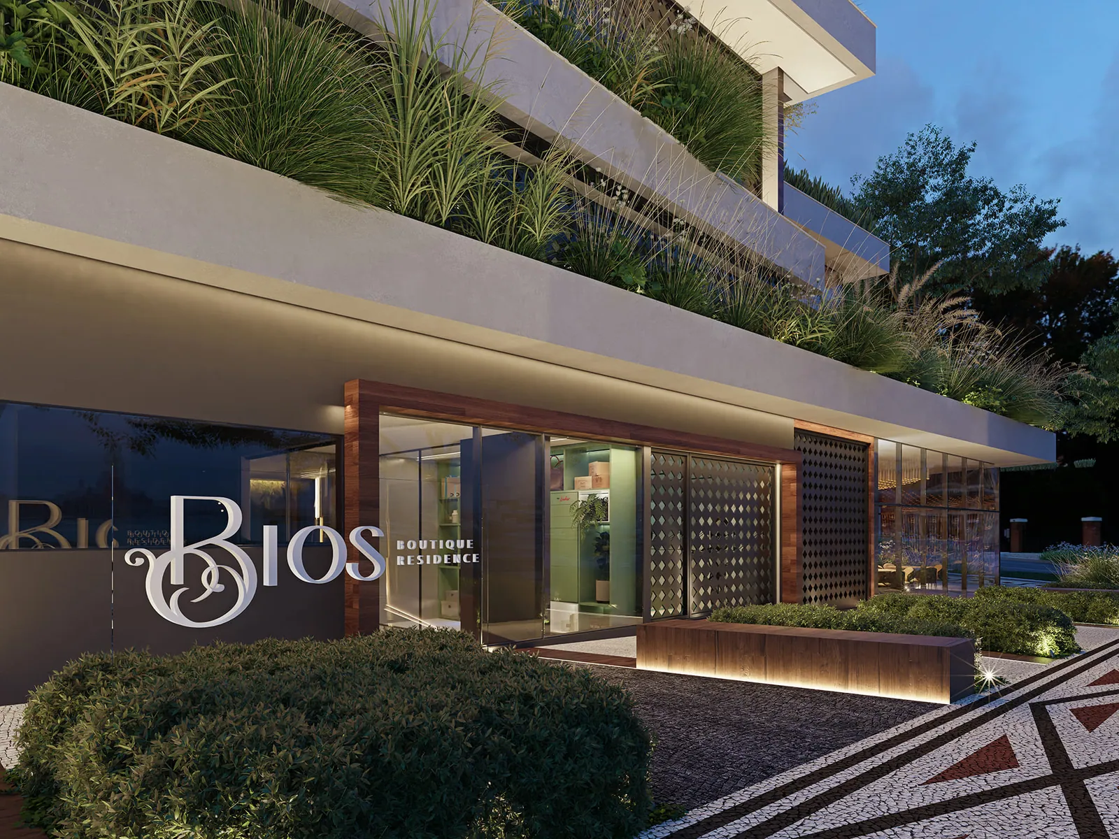 Bios — Entrada