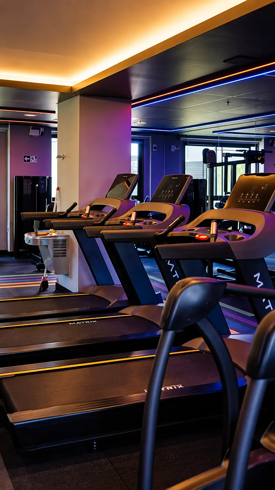 Academia fitness indoor com esteiras no ALDEA Vale do Sereno pronto para morar