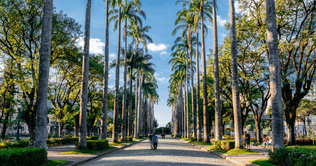 Imagem da Praça da Liberdade, em Belo Horizonte. 