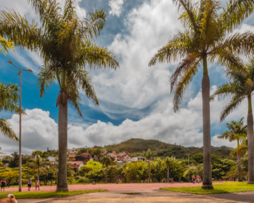 Parque Juscelino Kubitschek em Belo Horizonte, com palmeiras e montanhas ao fundo.