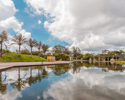 Espelho d'água refletindo palmeiras e céu parcialmente nublado no Parque das Mangabeiras.