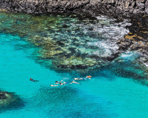 Pessoas praticando mergulho livre nas águas cristalinas de Fernando de Noronha.