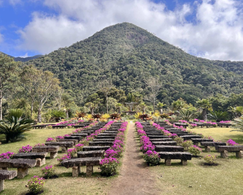 Jardim florido com montanha ao fundo no Vale do Amor, Petrópolis.