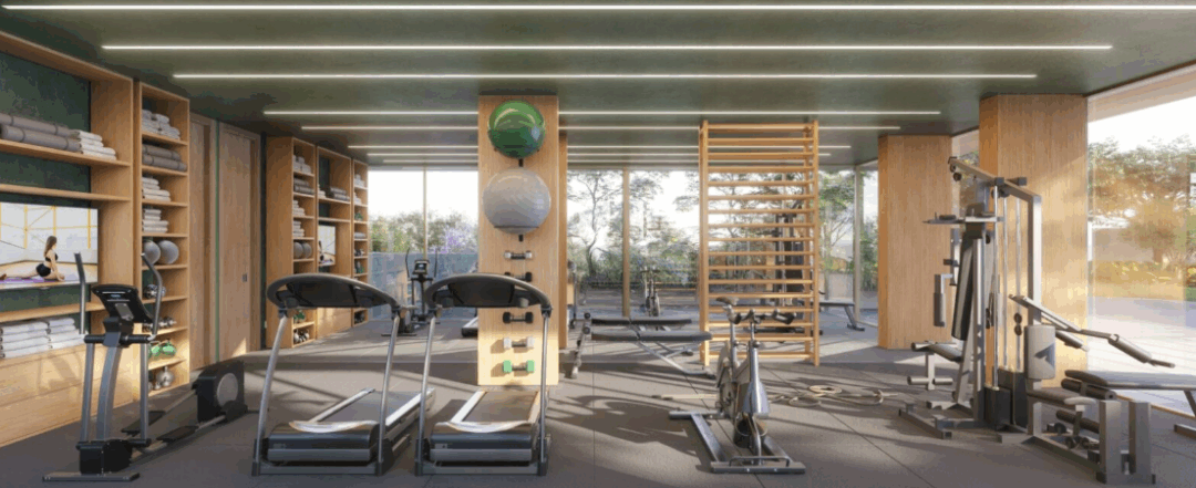 Academia simbolizando movimento wellness