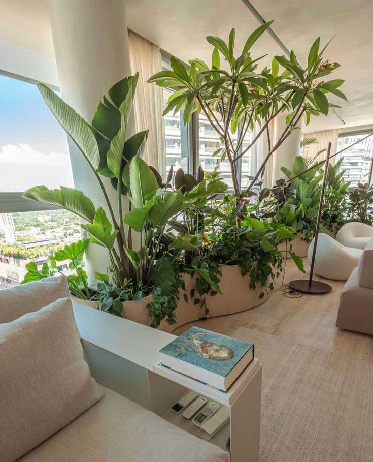 Plantas na decoração para trazer sensação de bem-estar