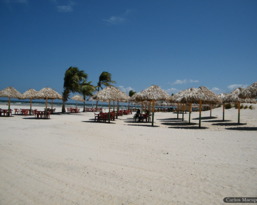 Praia deserta com guarda-sóis de palha e cadeiras vermelhas na Ilha do Marajó, no Pará.