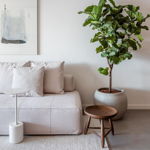 Tons neutros: equilíbrio e versatilidade 